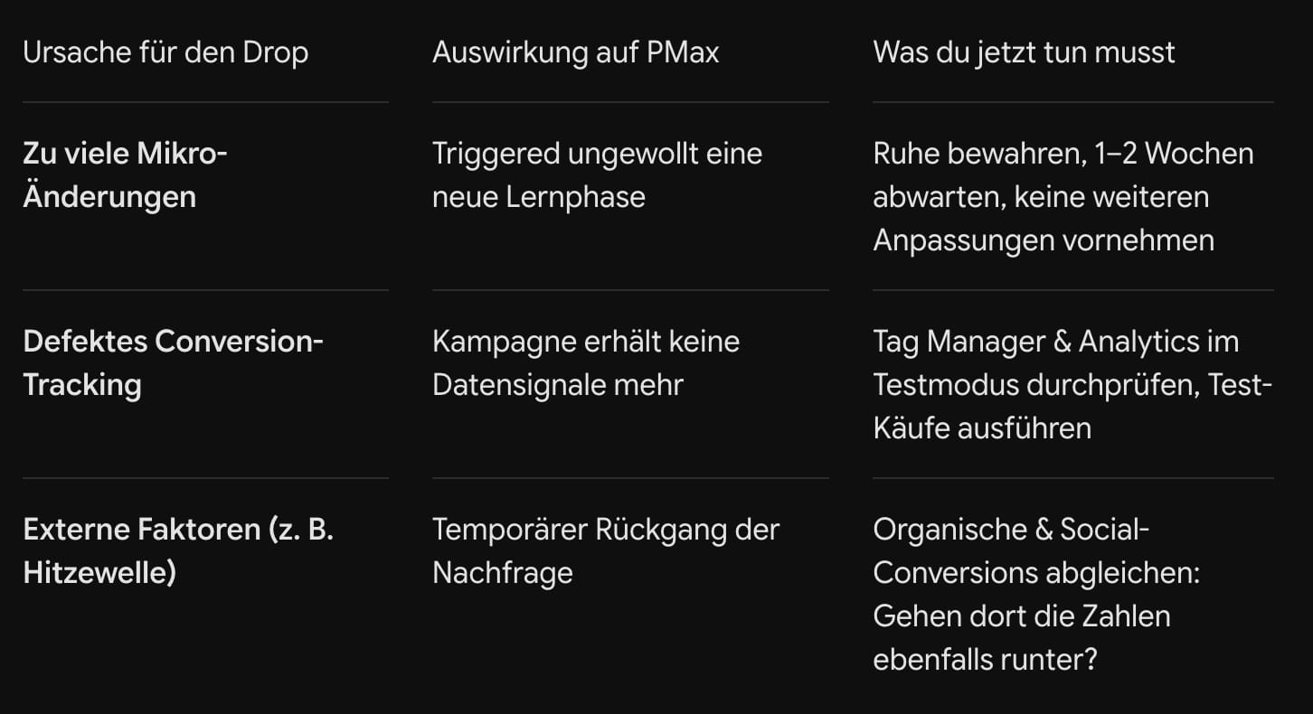Die Hauptursachen für Performance-Drops im Vergleich PMax-Killer im Überblick