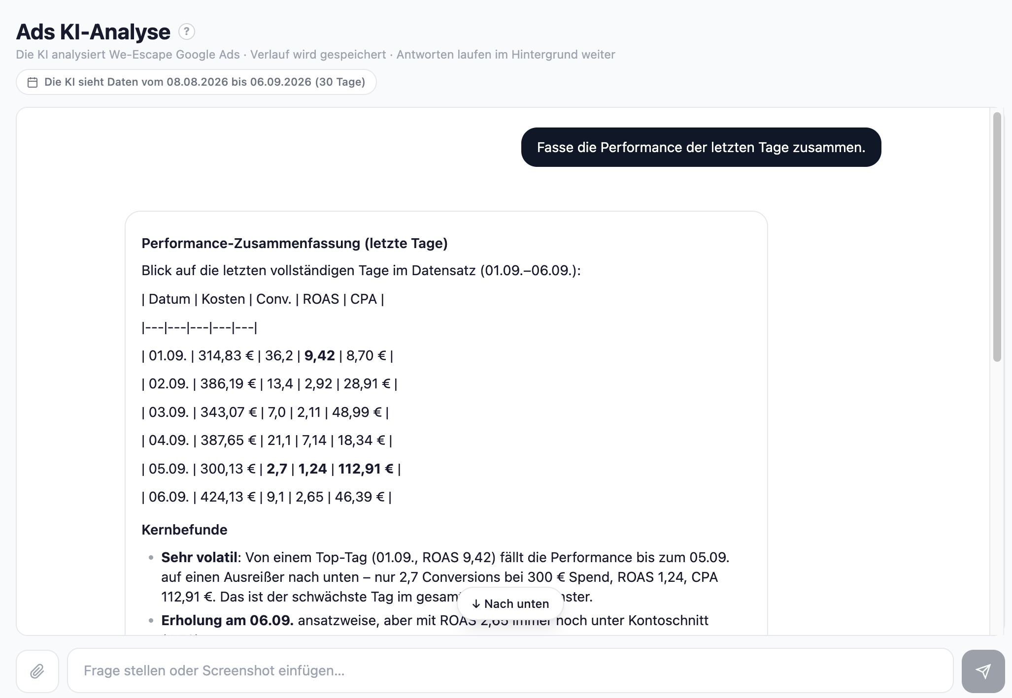 Ads KI-Analyse: Chat mit der KI über die eigenen Google-Ads-Zahlen, Performance-Zusammenfassung mit Kernbefunden
